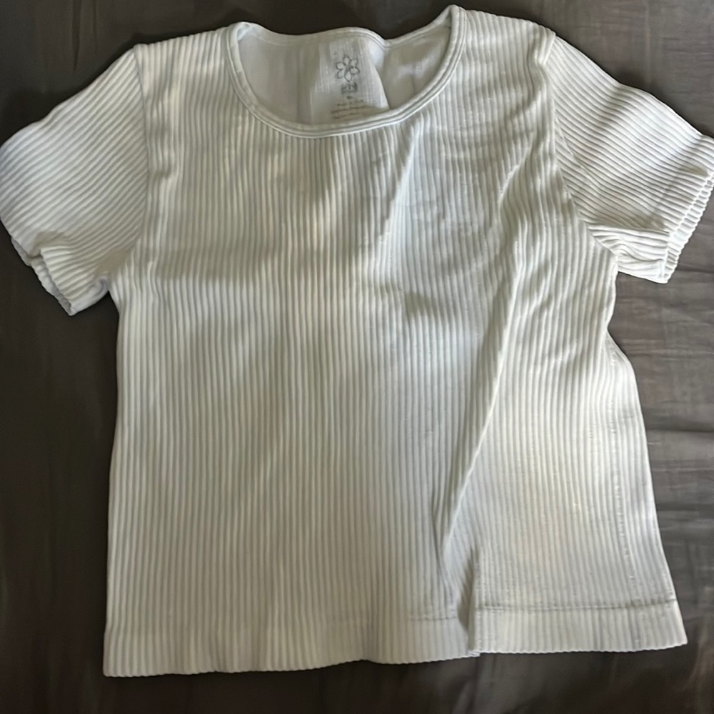 Aura Crop shirt